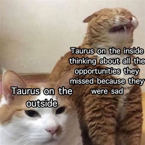 best taurus memes|happy taurus memes.